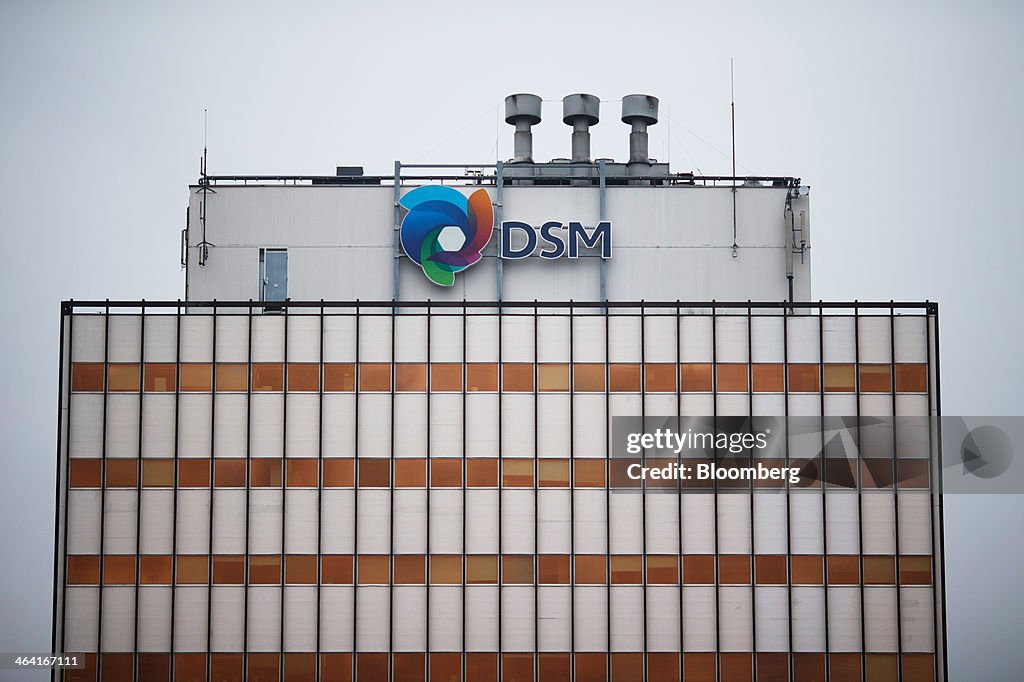 Operations At Royal DSM NV The World's Largest Vitamin Maker