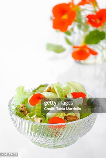 insalata di lattuga con nasturzi e frutta secca - lattuga stock pictures, royalty-free photos & images