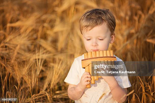 little boy playing panpipe in rye field in summer - guaira fotografías e imágenes de stock