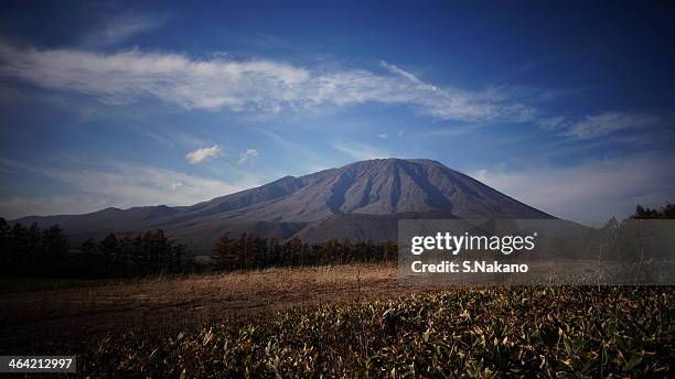 view of the fall of mt.iwate. - 岩手山 ストックフォトと画像