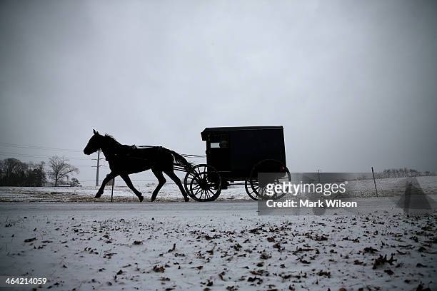 Horse pulls an Amish buggy during a snowfall January 21, 2014 in Mechanicsville, Maryland. A strong winter storm is bearing down on the East Coast...