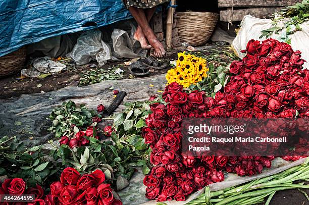 Red roses at a flower stall in Mullik ghat flower market.