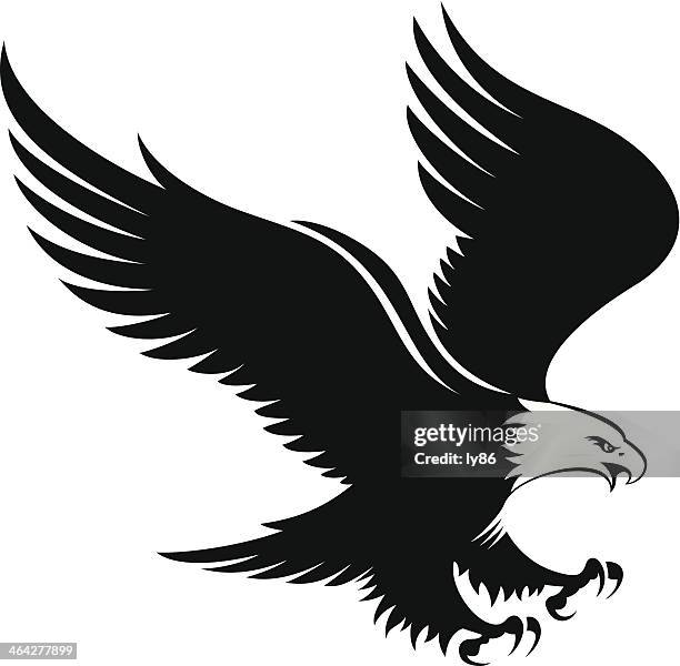 illustrations, cliparts, dessins animés et icônes de eagle - agression
