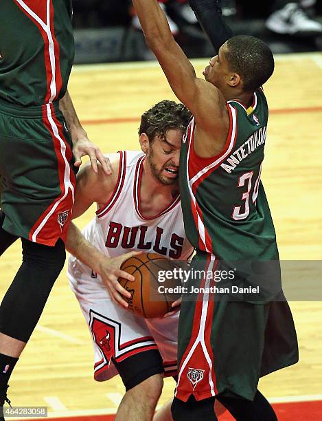 Pau Gasol of the Chicago Bulls is squeezed by Miles Plumlee and Giannis Antetokounmpo of the Milwaukee Bucks at the United Center on February 23,...