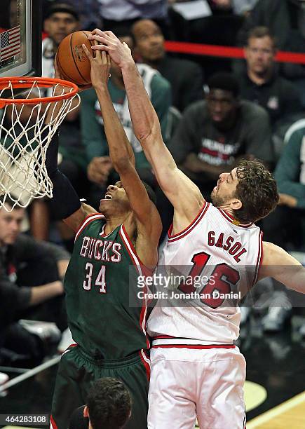 Pau Gasol of the Chicago Bulls blocks a shot by Giannis Antetokounmpo of the Milwaukee Bucks at the United Center on February 23, 2015 in Chicago,...