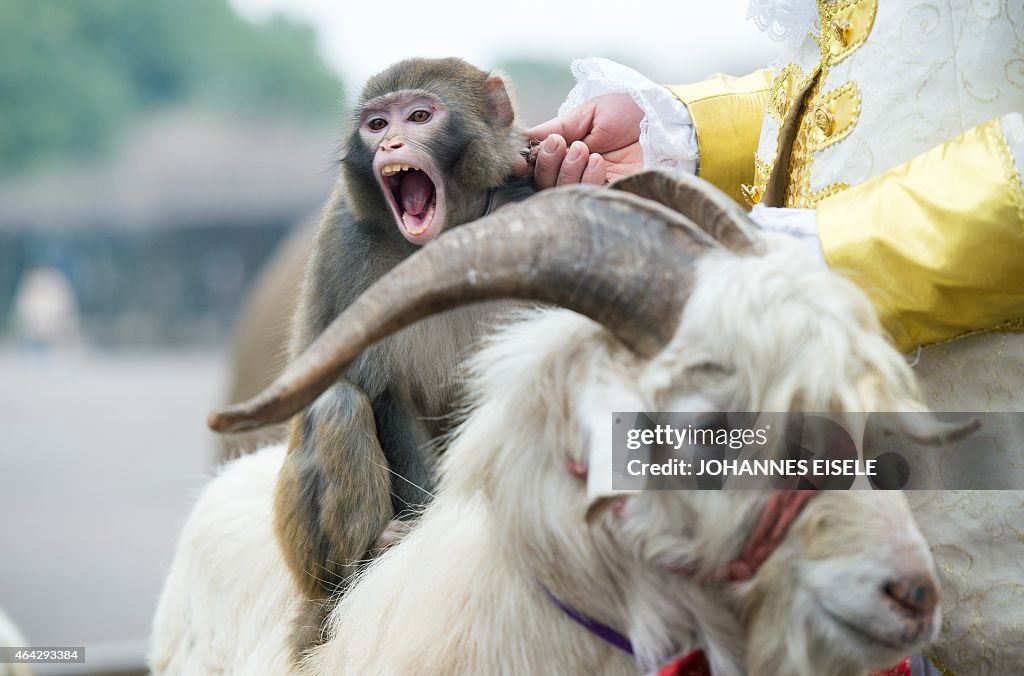 CHINA-LIFESTYLE-LUNAR-NEW YEAR