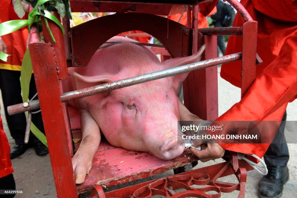 VIETNAM-ANIMAL-TRADITION