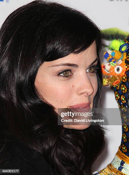 Actress Jaimie Alexander attends opening night of Cirque du Soleil's "Totem" at the Santa Monica Pier on January 21, 2014 in Santa Monica, California.