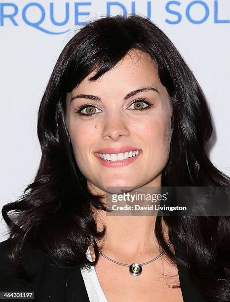 Actress Jaimie Alexander attends opening night of Cirque du Soleil's "Totem" at the Santa Monica Pier on January 21, 2014 in Santa Monica, California.