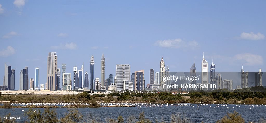UAE-DUBAI-FLAMINGOS