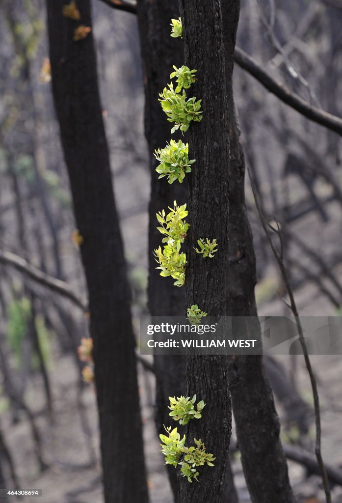 AUSTRALIA-WEATHER-FIRE