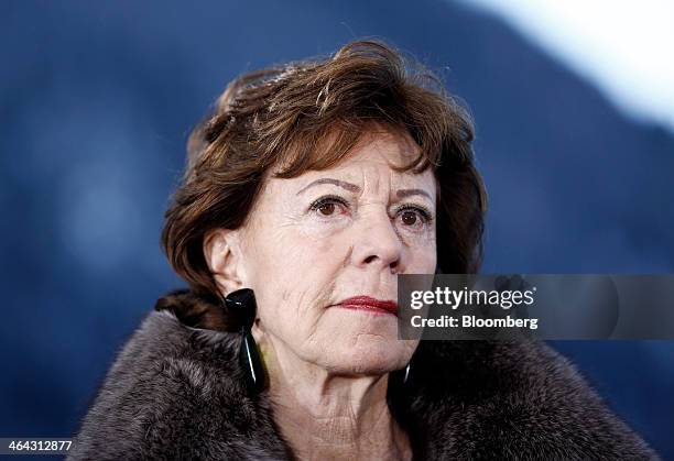 Neelie Kroes, competition commissioner for the European Union , pauses during a Bloomberg Television interview on the opening day of the World...