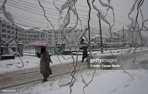 Kashmiris carrying umbrellas walk during a snowfall on January 22, 2014 in Srinagar, Indian Administered Kashmir, India. Several parts of the Kashmir...