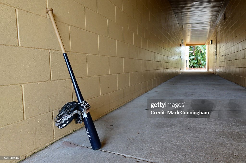 Detroit Tigers Spring Training