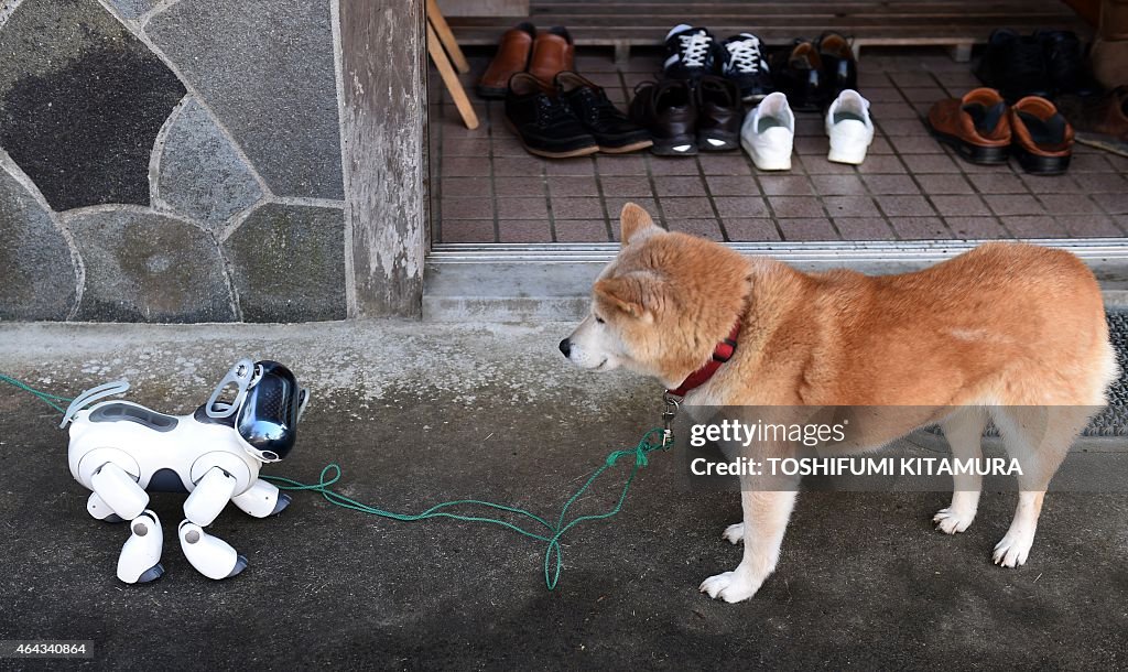 JAPAN-LIFESTYLE-ELECTRONICS-ROBOT-SONY