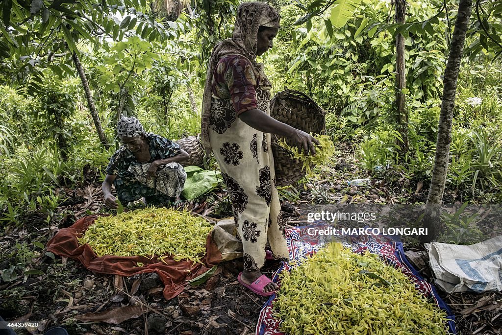 COMOROS-ECONOMY-YLANG-YLANG