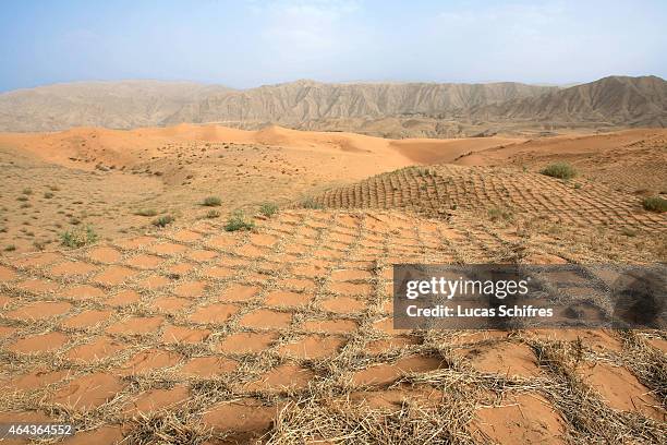 Desertification China Photos And Premium High Res Pictures Getty Images desertification-china-photos-and-premium-high-res-pictures-getty-images