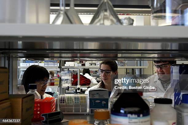 In the lab at Novartis, Diabetes Metabolism Research Group scientists Ling Qiu, Karin Wallace, and Stephen Weldon work on tissue samples. Novartis...