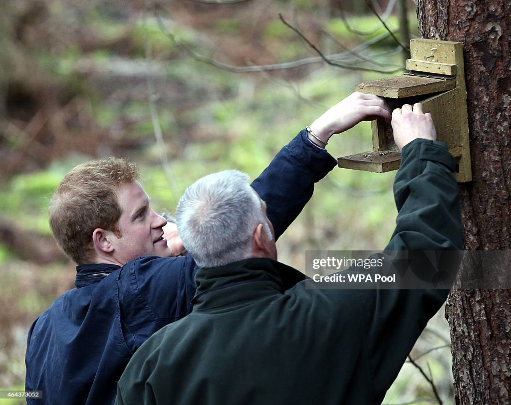 Prince Harry Visits Northumberland And Newcastle Upon Tyne