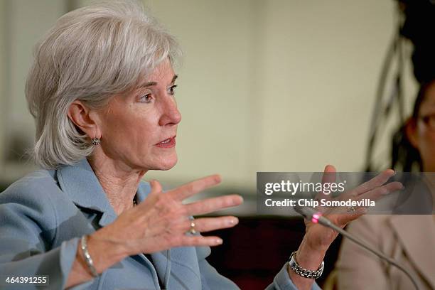 Health and Human Services Secretary Kathleen Sebelius delivers remarks and answers questions during the U.S. Conference of Mayors January 22, 2014 in...