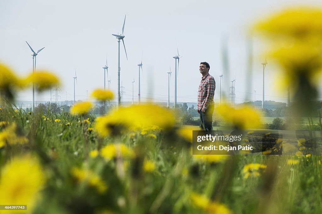 Man in dandelion meadow, windmill park