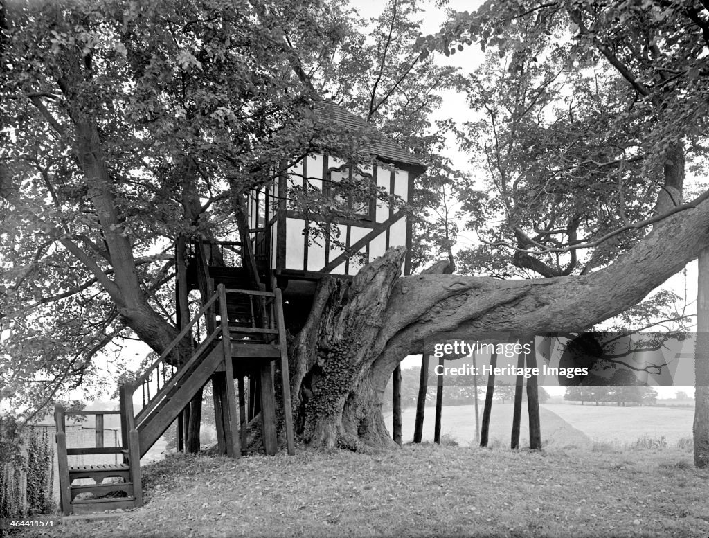 A half-timbered tree house, Pitchford Hall, Shropshire, 1959. Artist: GB Mason