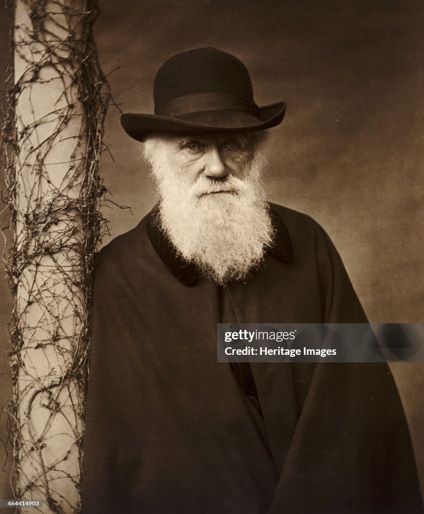 Charles Darwin at his home at Down House, Kent, c1880.