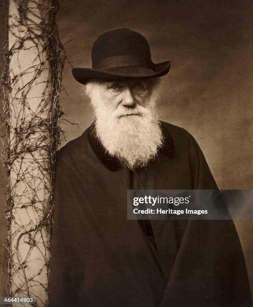 Charles Darwin at his home at Down House, Kent, c1880.