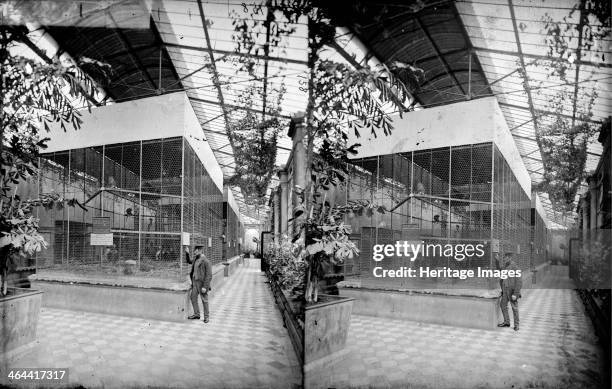 Monkey House, Zoological Gardens, Regent's Park, Westminster, London, c1870-1900. Interior view of the Monkey House in the Zoological Gardens in...