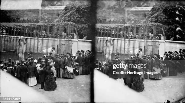 Zoological Gardens, Regent's Park, Westminster, London, c1870-1900. Stereo view of the Zoological Gardens in Regent's Park showing the public...