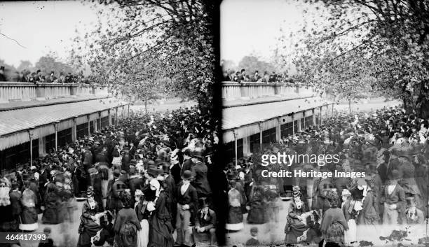 Zoological Gardens, Regent's Park, Westminster, London, c1870-1900. Stereo view of the Zoological Gardens in Regent's Park showing the crowd watching...