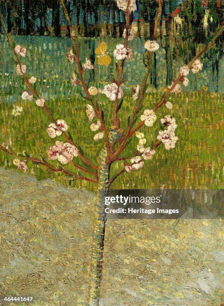 Almond tree in blossom, 1888. Found in the collection of the Van Gogh Museum, Amsterdam.