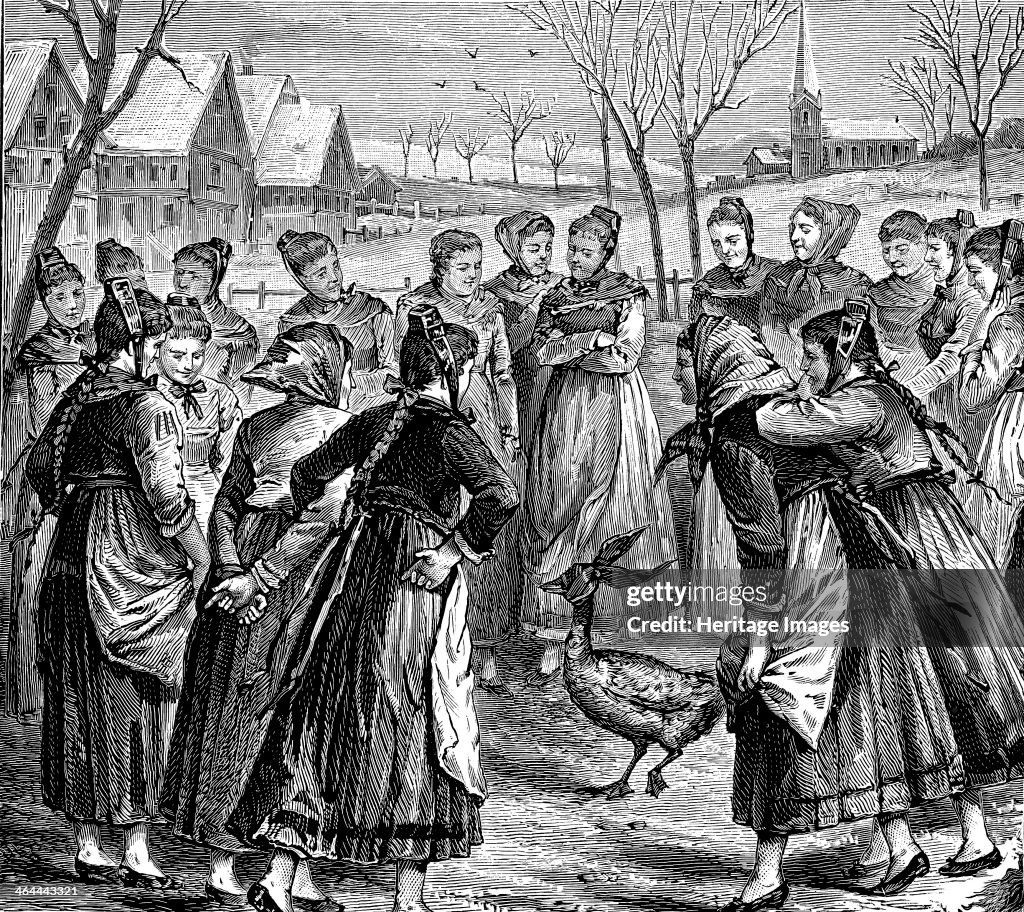 Goose oracle in the Black Forest.