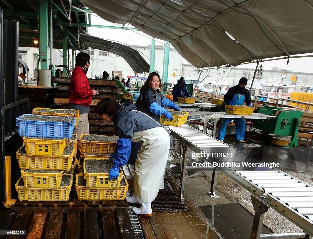 Japanese Sand Lance Harvest Season Begins In Hyogo