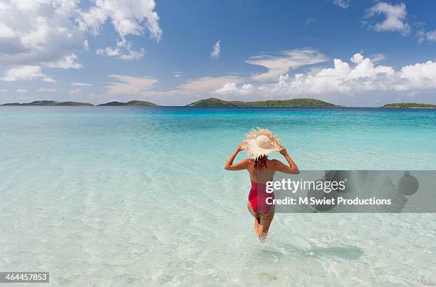 tropical vacation - caraïbéen photos et images de collection
