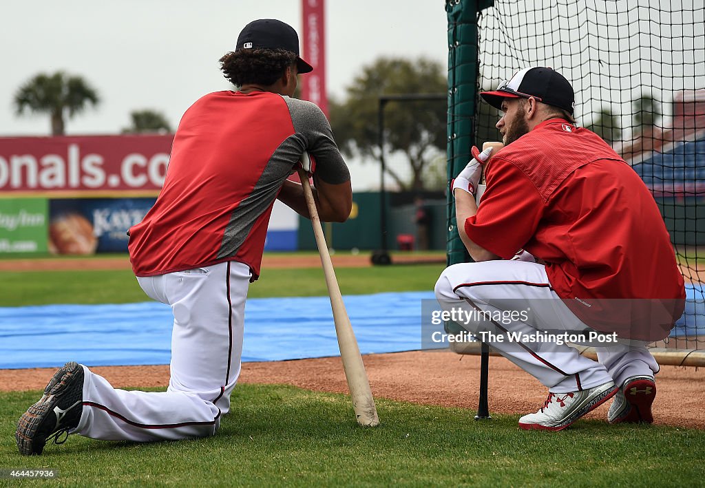 MLB Washington Nationals Spring Training