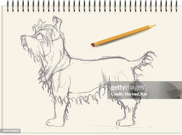 ilustrações, clipart, desenhos animados e ícones de yorkshire terrier-desenho - yorkshire terrier