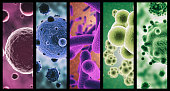 Multi-colored microbes