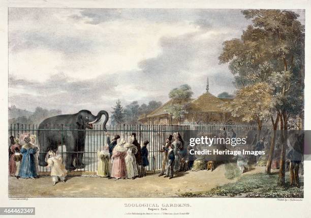 View of the Zoological Gardens in Regent's Park, London, 1835; showing figures feeding an elephant.