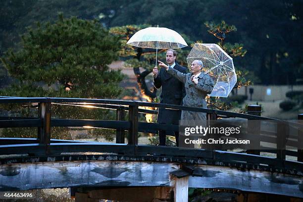 Prince William, Duke of Cambridge walks over a traditional Japanese bridge in Hama Rikyu Gardens with Tokyo Governor Yoichi Masuzoe on the first day...