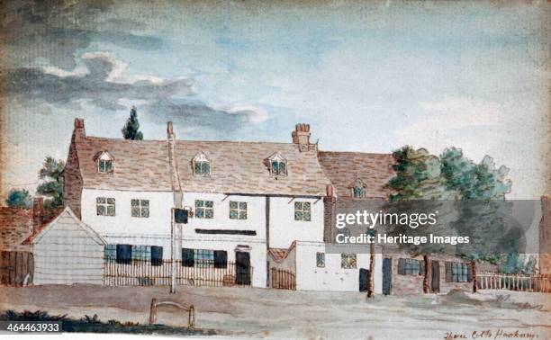 Hackney Colt 93 Henry Colt Stock Photos, High-Res Pictures, and Images - Getty Images
