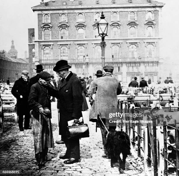 Caledonian Cattle Market, Copenhagen Fields, Islington, early 20th century.