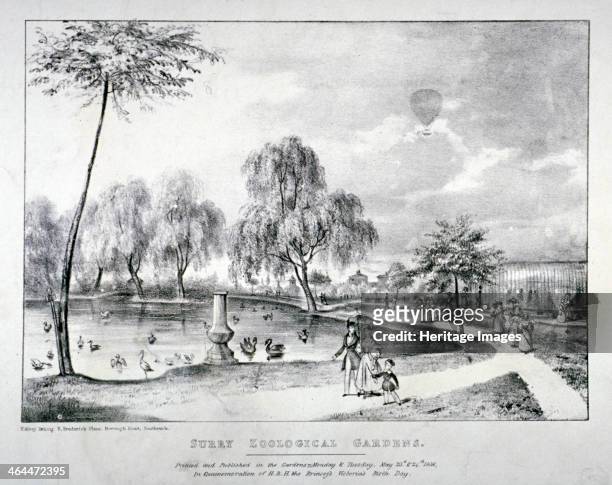 Surrey Zoological Gardens, Southwark, London, 1836. View showing figures walking and a hot air balloon ascending in the background. The gardens were...