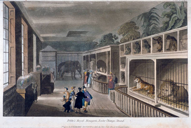 Interior view of Polito's Royal Menagerie, Exeter Change, Strand, Westminster, London, 1812.
