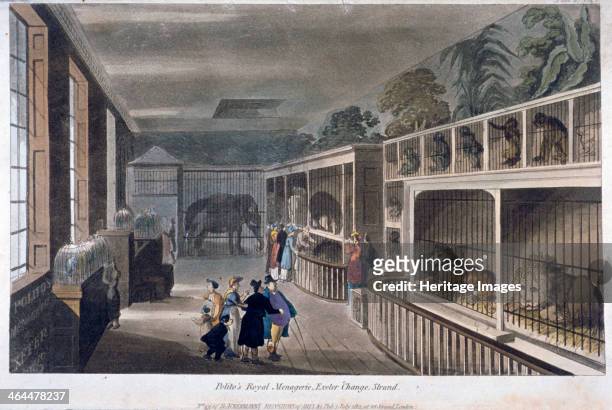 Interior view of Polito's Royal Menagerie, Exeter Change, Strand, Westminster, London, 1812.