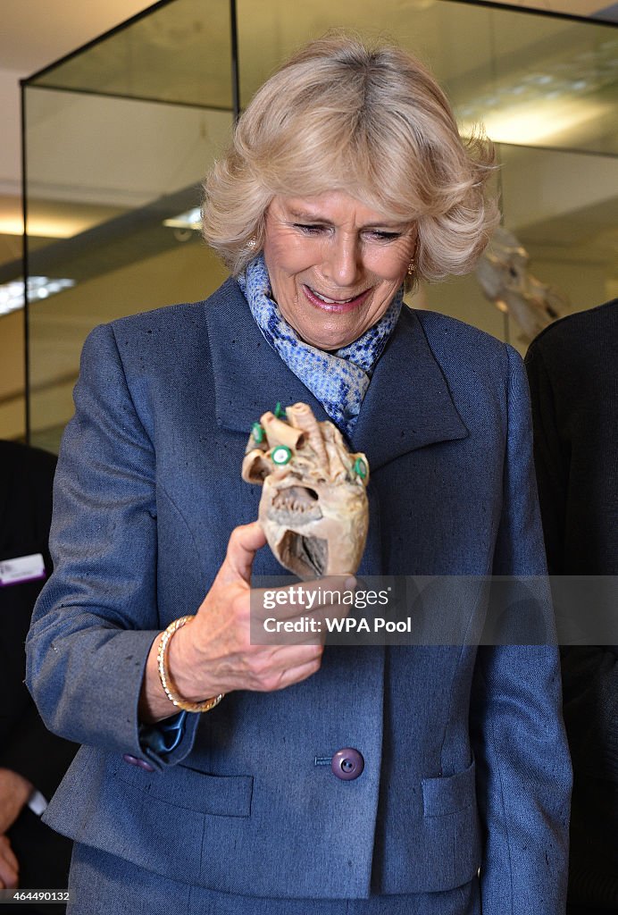 The Duchess Of Cornwall Visits The Beaumont Sainsbury Animal Hospital