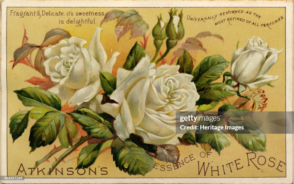 Atkinson?s Essence of White Rose, 19th century.