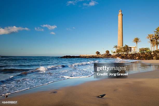 maspalomas lighthouse and beach - gran canaria bildbanksfoton och bilder