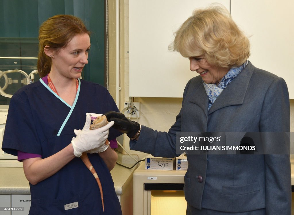 BRITAIN-ROYALS-ANIMALS