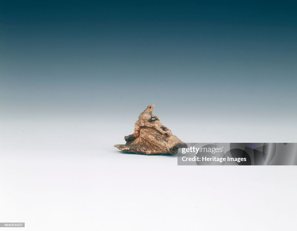 Frog netsuke, late Edo period, Japan, early 19th century.
